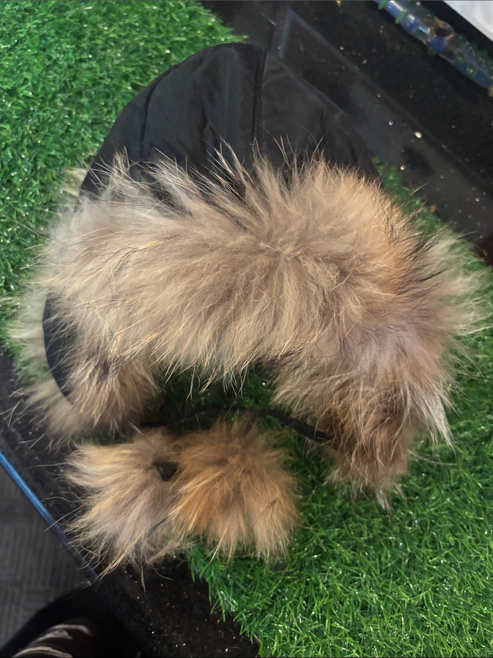 Black Winter Trapper Hat with Tan Faux Fur Trim